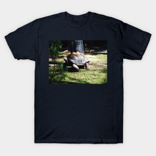 Tortoise on the Run T-Shirt